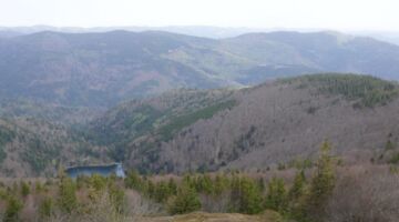Wanderung am Grand Ballon Lac Ballon