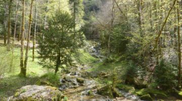 Wanderung Cascades-du-herisson Tuffiere