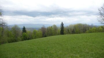 Chanay Le sentier des Charbonniers