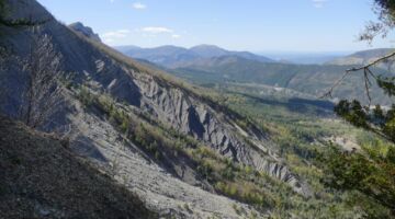 La Barre des Dourbes