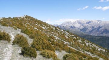 La Barre des Dourbes