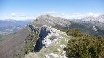 La Barre des Dourbes