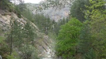 Gorges du Trévans