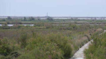 Salin-de-Giraud Phare de Faraman