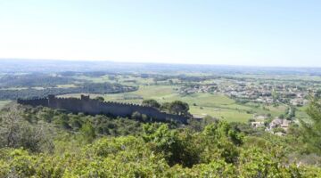 Le castellas de Montpeyroux