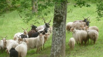 Rochechouart Wanderung Meteoritenkreis
