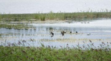 Tysjöarna Nationalpark