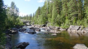 Storforsen Stromschnellen