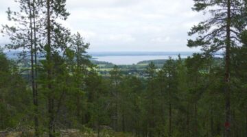 Piteå Eliasleden