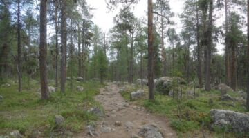 Wanderung zur Pielpajarvi Wildniskirche