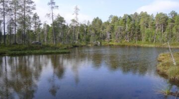 Wanderung zur Pielpajarvi Wildniskirche