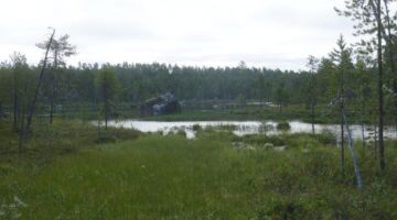 Wanderung zur Pielpajarvi Wildniskirche