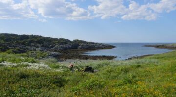 Wanderung Slettnes Nationalpark