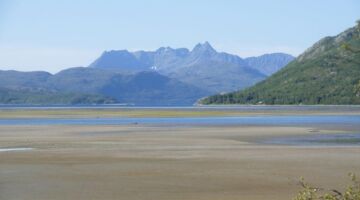 Reisautløpet Naturreservat