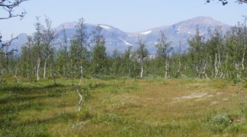 Wanderung auf den Barheia