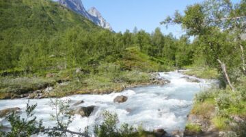 Wandereung zum Steindalsbreen