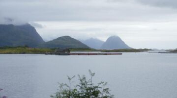Insel Langøya
