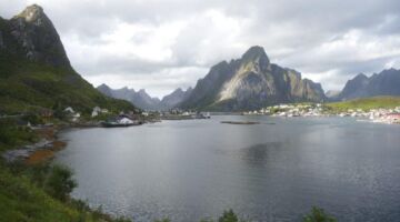 Reine