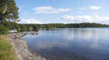 Insel Andersön am Storsjön