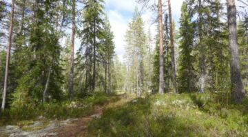 Wanderung zum Helvetesfallet