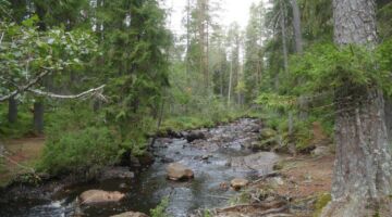 Styggforsen Wasserfall