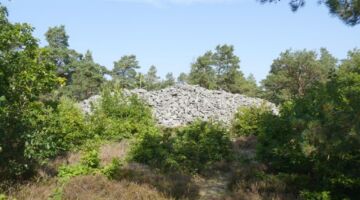 Sternö-Boön Naturschutzgebiet Högarör