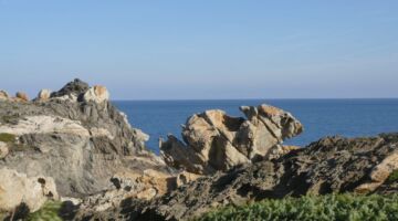 Paratge de Tudela Haase