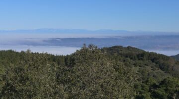 Aussicht vom Roc del Grínjol