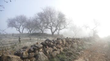 Wanderung auf den Roca Corbatera