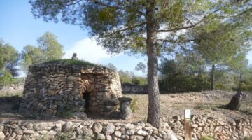 Barraca de cal Josepó
