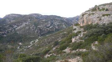 Rossell Moleta del Termen