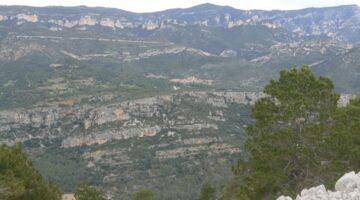 Rossell Moleta del Termen