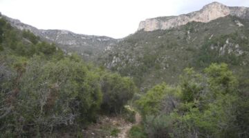 Rossell Moleta del Termen