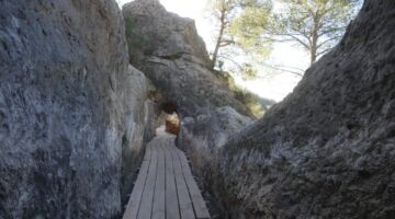 Acueducto Peña Cortada