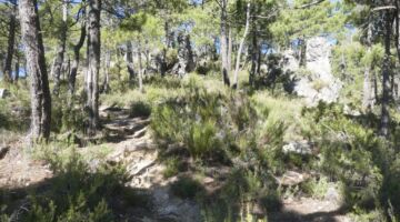 Villaverde de Guadalimar Los Picarazos