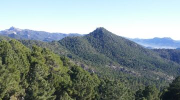 Villaverde de Guadalimar Los Picarazos