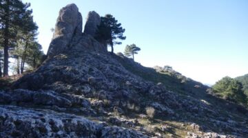 Villaverde de Guadalimar Los Picarazos