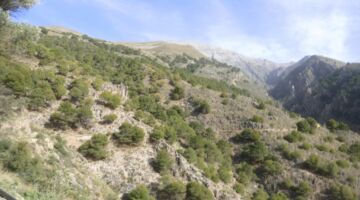 Canillas de Aceituno Sendero el Saltillo