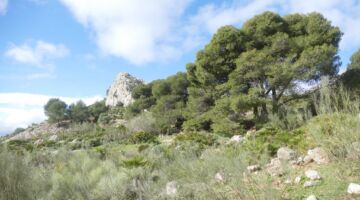 El Chorro Escalera Arabe