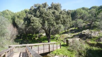 Passadicos da Serra de Ossa