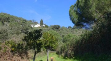 Passadicos da Serra de Ossa