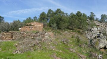 Cascata da Cabroeira