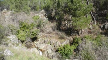 Cascata da Ribeira de Arronche