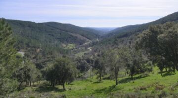 Naturpark Serra de São Mamede