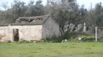 Megalithpark Coureleiros Anta 4