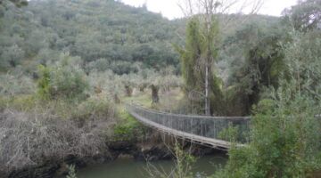 Arneiro Trilhos do Conhal Ponte da Ribeira do Vale