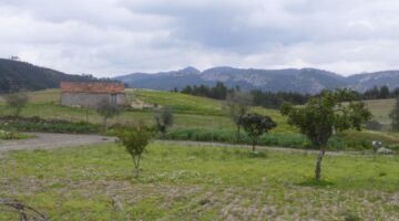 Arneiro Trilhos do Conhal