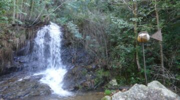 Passadiços do Orvalho