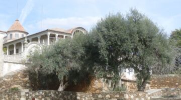 Idanha-a-Velha Casa Marrocos