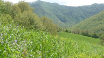 Serravalle die Chienti